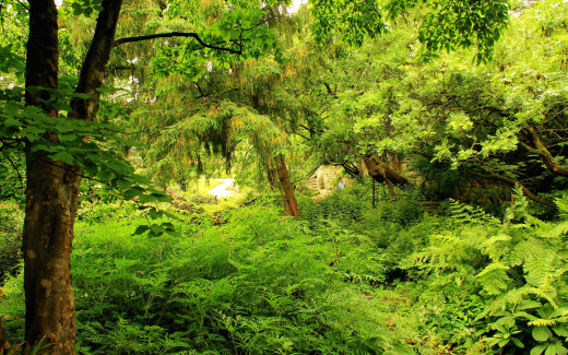 1218571 (a): :2560x1600